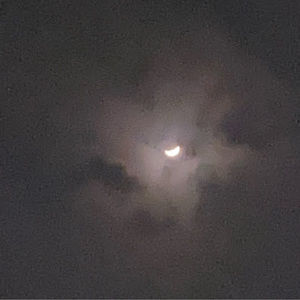 Meet your Posher, Akanksha